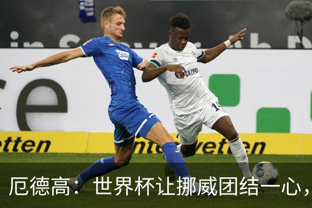 厄德高：世界杯让挪威团结一心，成就超乎预期